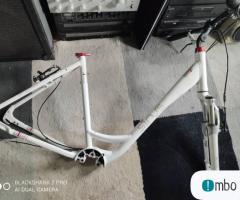 rama E-Bike Sinus B1